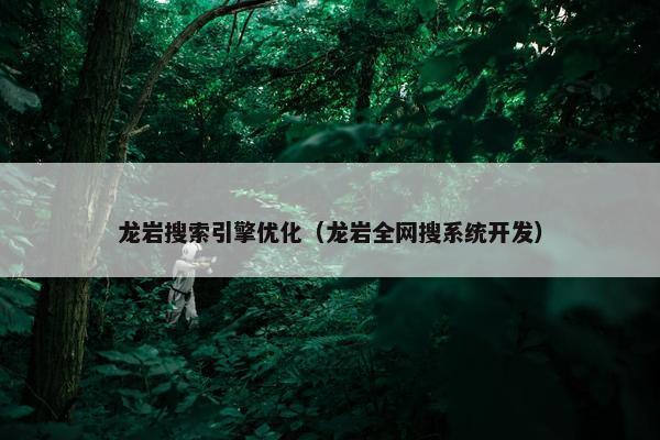 龙岩搜索引擎优化（龙岩全网搜系统开发）