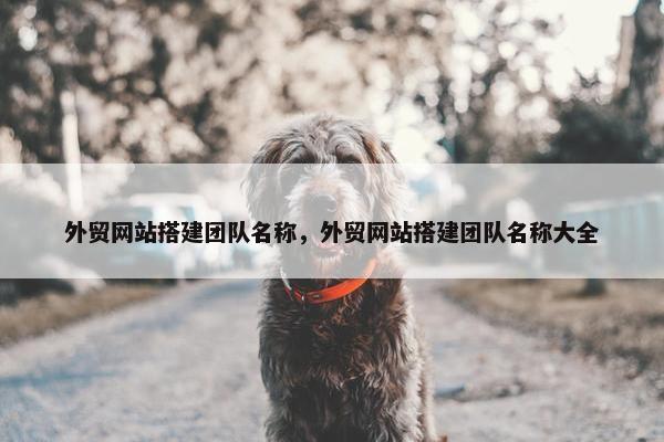 外贸网站搭建团队名称，外贸网站搭建团队名称大全