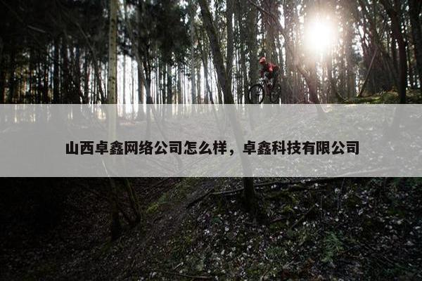 山西卓鑫网络公司怎么样，卓鑫科技有限公司