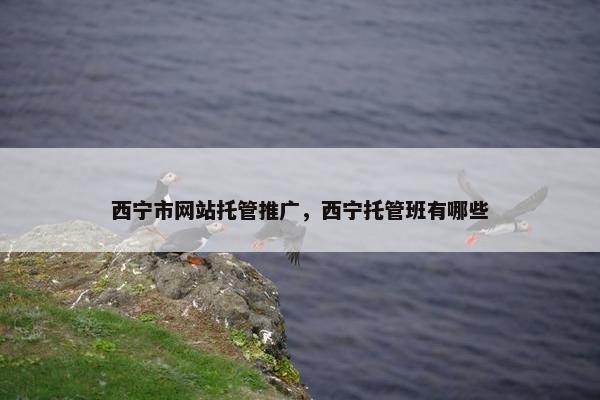 西宁市网站托管推广，西宁托管班有哪些