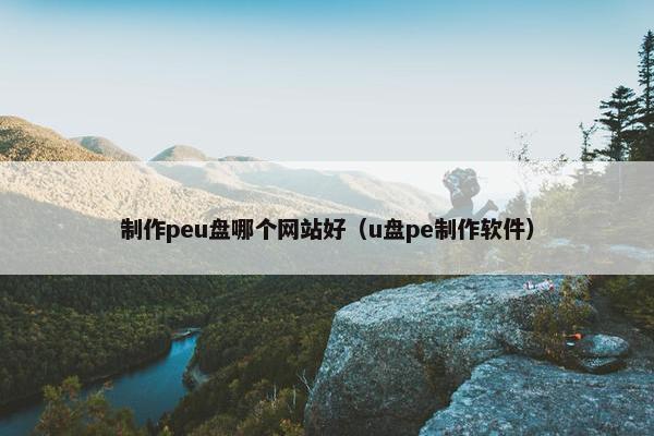 制作peu盘哪个网站好（u盘pe制作软件）