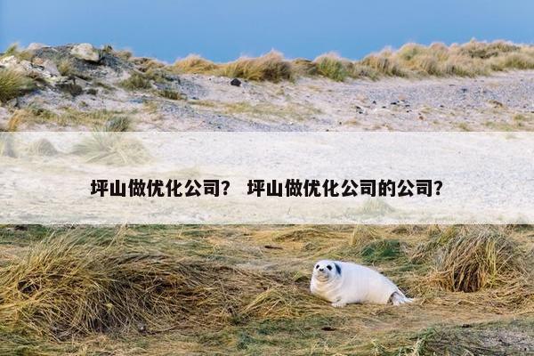坪山做优化公司？ 坪山做优化公司的公司？