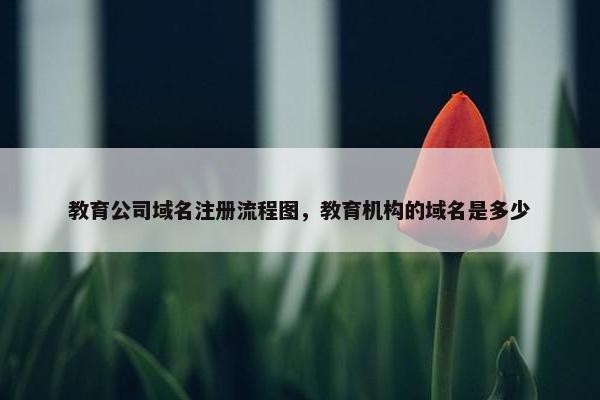 教育公司域名注册流程图，教育机构的域名是多少