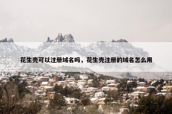 花生壳可以注册域名吗，花生壳注册的域名怎么用