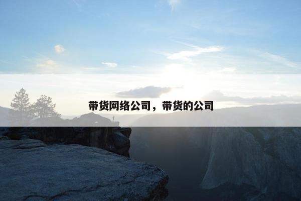 带货网络公司，带货的公司