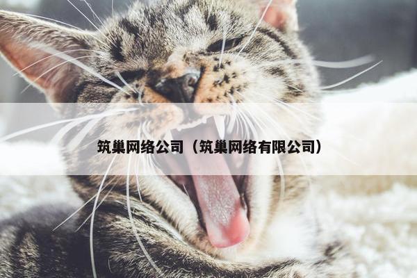 筑巢网络公司（筑巢网络有限公司）