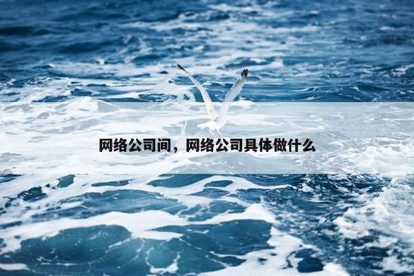 网络公司间，网络公司具体做什么