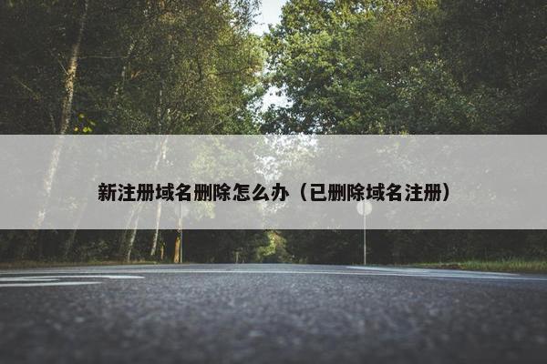 新注册域名删除怎么办（已删除域名注册）