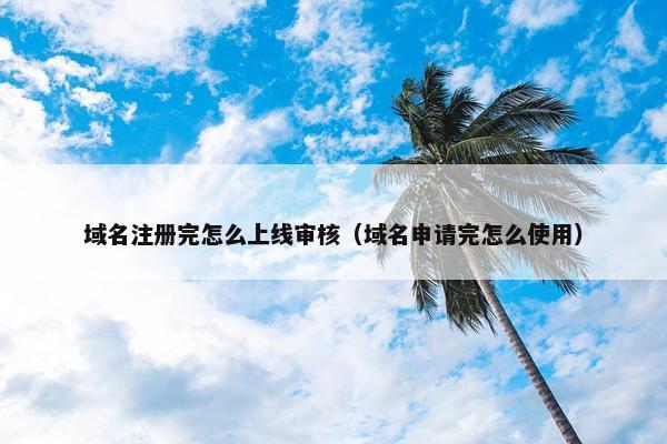 域名注册完怎么上线审核（域名申请完怎么使用）