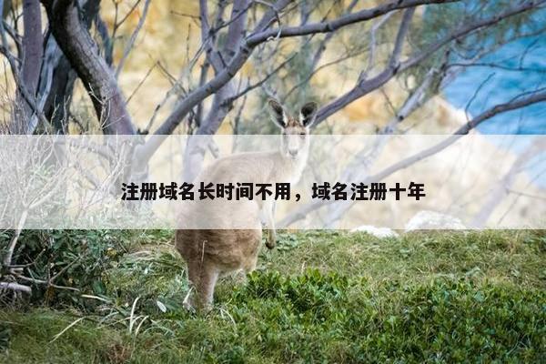 注册域名长时间不用，域名注册十年