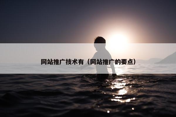 网站推广技术有（网站推广的要点）