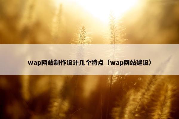 wap网站制作设计几个特点（wap网站建设）