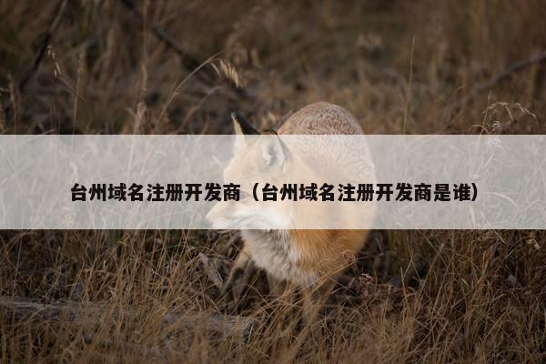 台州域名注册开发商（台州域名注册开发商是谁）