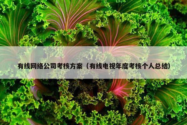 有线网络公司考核方案（有线电视年度考核个人总结）