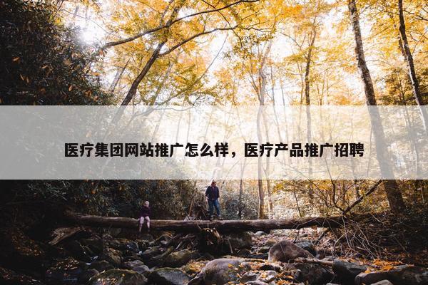 医疗集团网站推广怎么样，医疗产品推广招聘