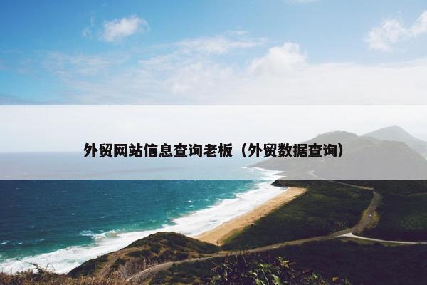 外贸网站信息查询老板（外贸数据查询）