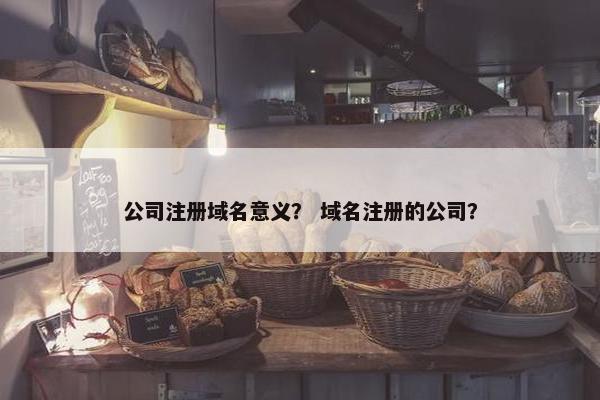 公司注册域名意义？ 域名注册的公司？