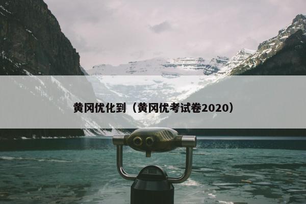 黄冈优化到（黄冈优考试卷2020）