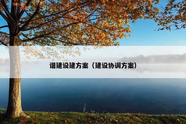 谐建设建方案（建设协调方案）