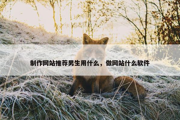 制作网站推荐男生用什么，做网站什么软件