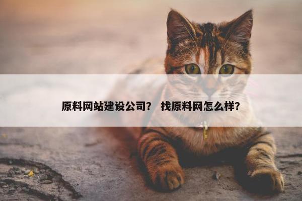 原料网站建设公司？ 找原料网怎么样？