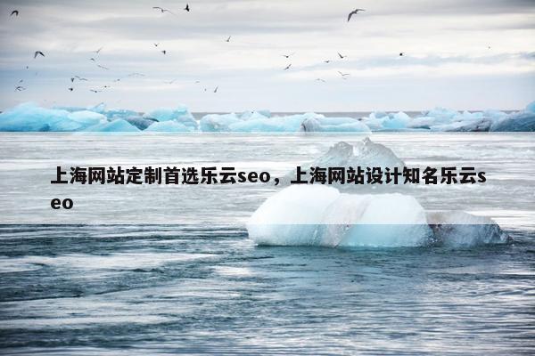 上海网站定制首选乐云seo，上海网站设计知名乐云seo