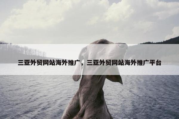 三亚外贸网站海外推广，三亚外贸网站海外推广平台