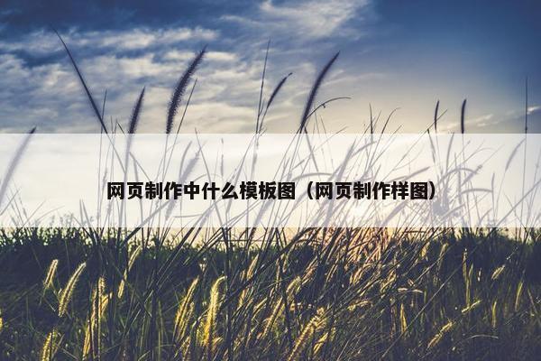 网页制作中什么模板图（网页制作样图）