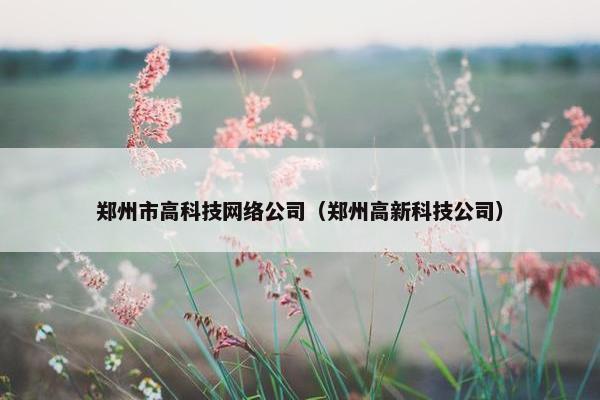 郑州市高科技网络公司（郑州高新科技公司）