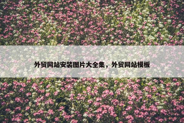 外贸网站安装图片大全集，外贸网站模板