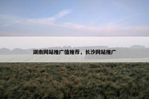 湖南网站推广值推荐，长沙网站推广