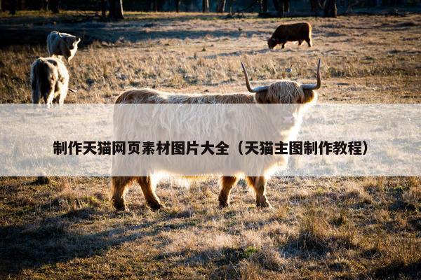 制作天猫网页素材图片大全（天猫主图制作教程）
