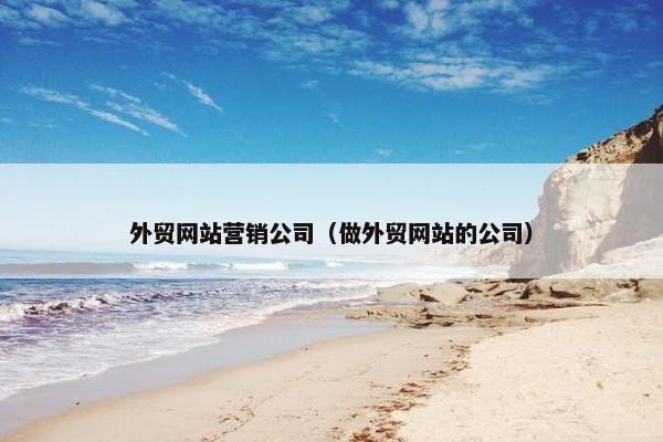 外贸网站营销公司（做外贸网站的公司）