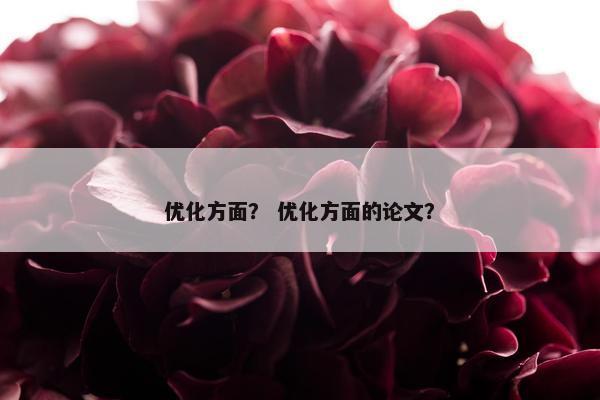 优化方面？ 优化方面的论文？