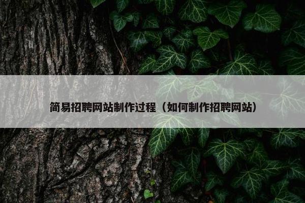 简易招聘网站制作过程（如何制作招聘网站）
