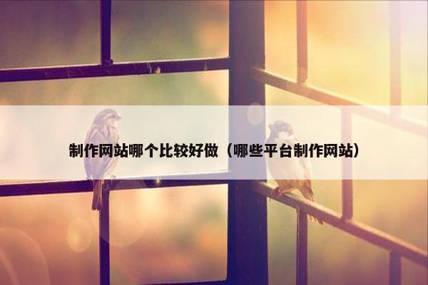 制作网站哪个比较好做（哪些平台制作网站）