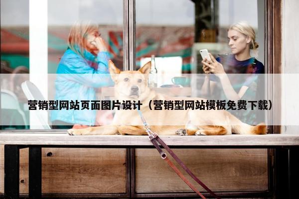 营销型网站页面图片设计（营销型网站模板免费下载）