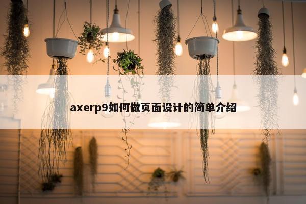 axerp9如何做页面设计的简单介绍