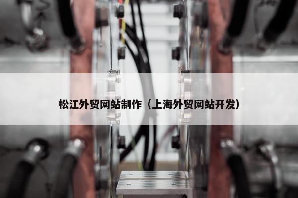 松江外贸网站制作（上海外贸网站开发）
