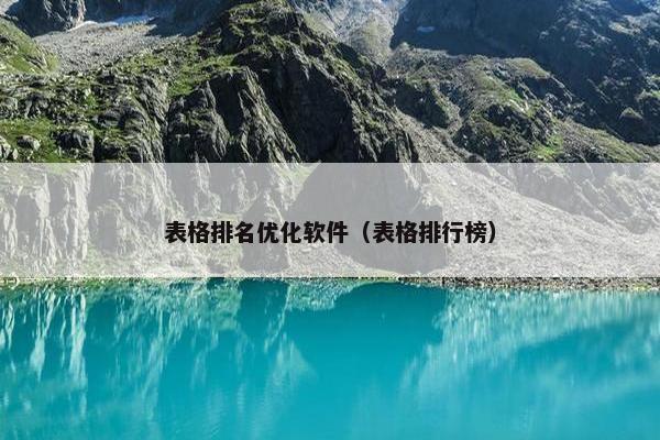 表格排名优化软件（表格排行榜）