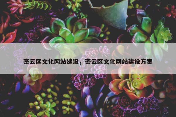 密云区文化网站建设，密云区文化网站建设方案