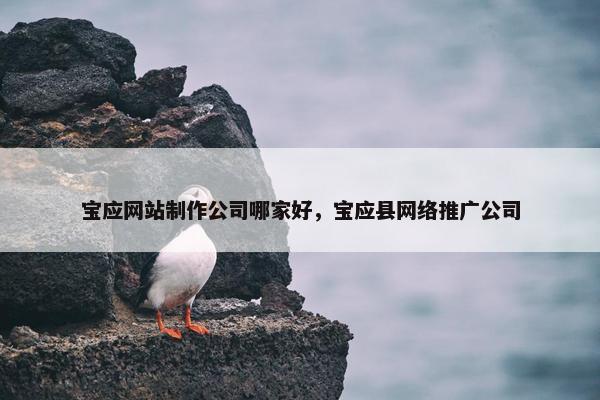 宝应网站制作公司哪家好，宝应县网络推广公司