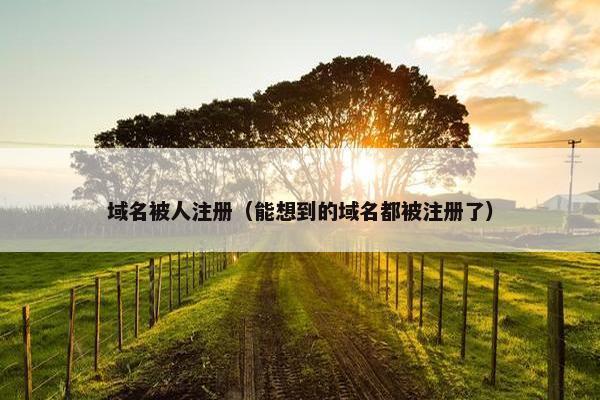 域名被人注册（能想到的域名都被注册了）
