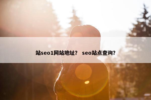 站seo1网站地址？ seo站点查询？