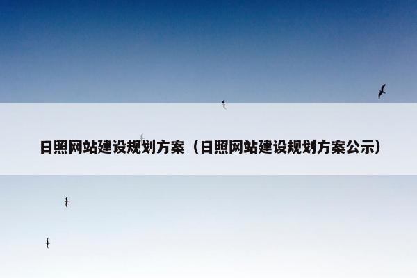 日照网站建设规划方案（日照网站建设规划方案公示）