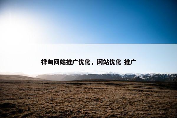 桦甸网站推广优化，网站优化 推广