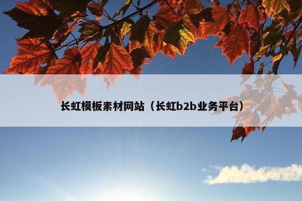 长虹模板素材网站（长虹b2b业务平台）