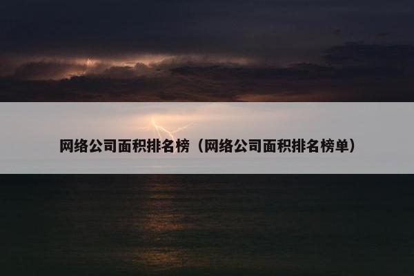 网络公司面积排名榜（网络公司面积排名榜单）