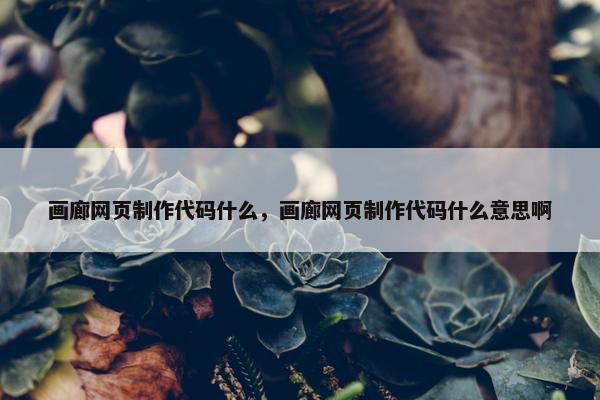 画廊网页制作代码什么，画廊网页制作代码什么意思啊