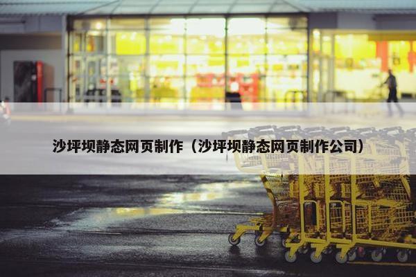 沙坪坝静态网页制作（沙坪坝静态网页制作公司）
